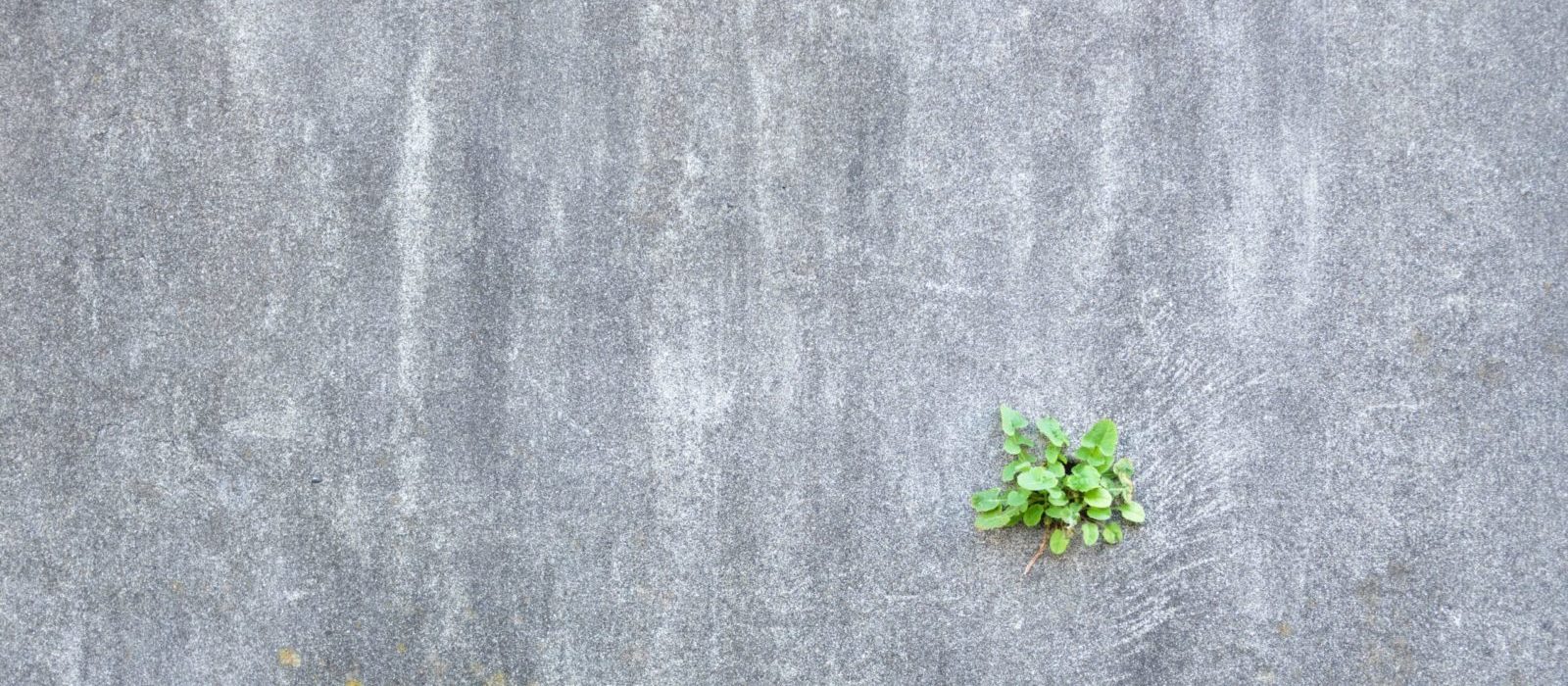 masaaki-komori-DPJW6Iyac90-unsplash